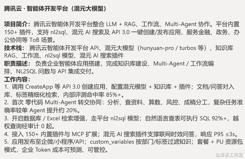 简历项目优化示例 截图